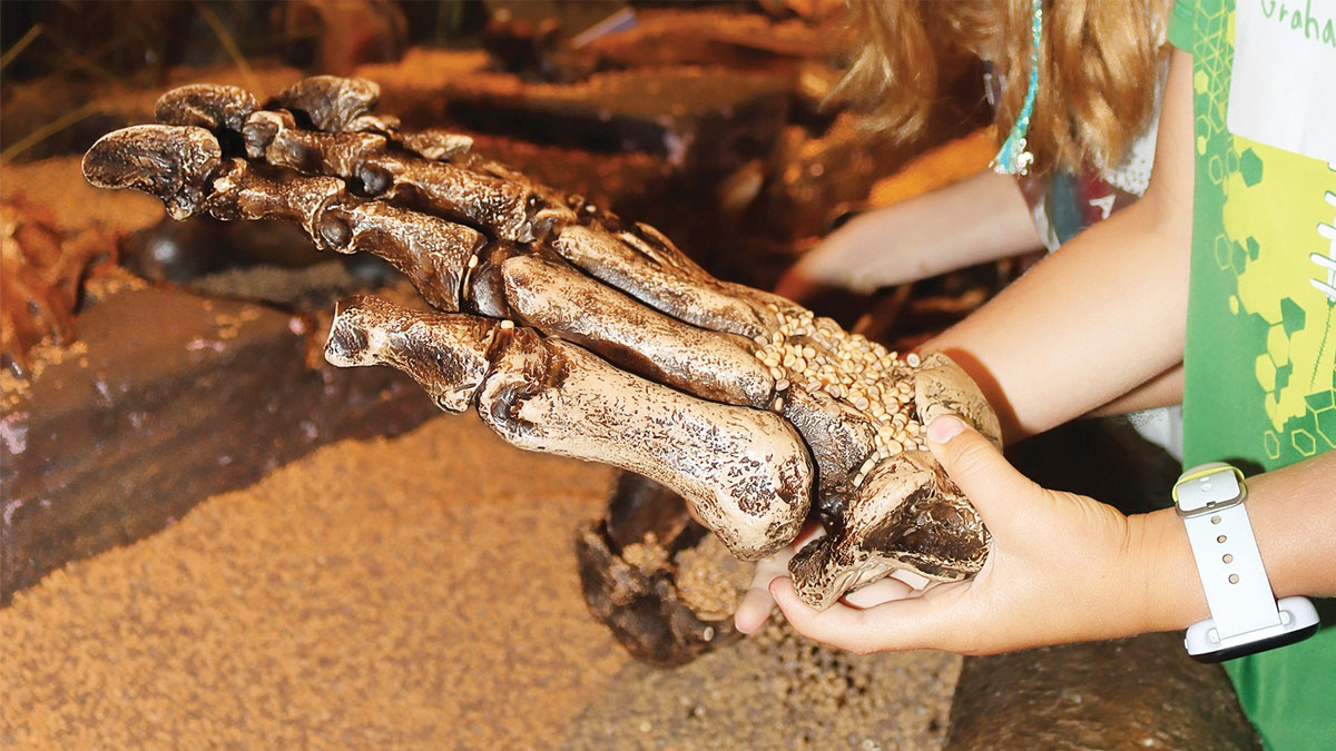 Lake County Then and Now at Dunn Museum